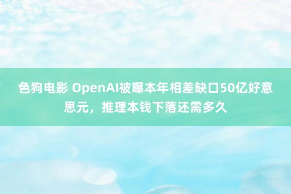色狗电影 OpenAI被曝本年相差缺口50亿好意思元，推理本钱下落还需多久