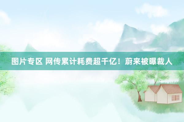 图片专区 网传累计耗费超千亿！蔚来被曝裁人