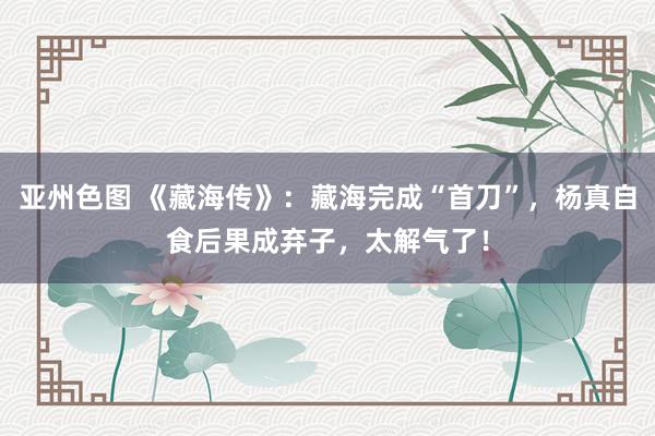 亚州色图 《藏海传》：藏海完成“首刀”，杨真自食后果成弃子，太解气了！