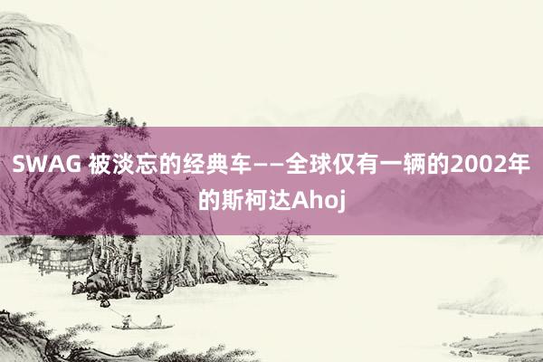 SWAG 被淡忘的经典车——全球仅有一辆的2002年的斯柯达Ahoj