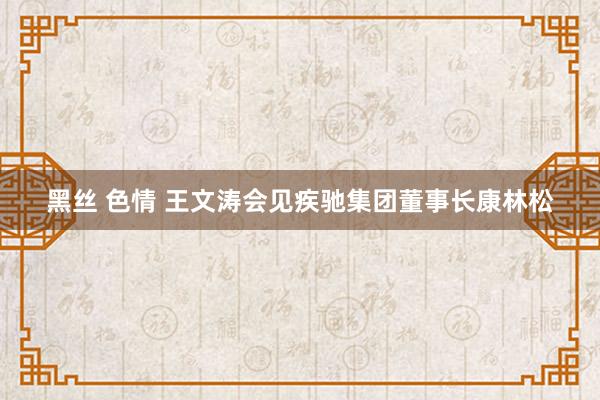 黑丝 色情 王文涛会见疾驰集团董事长康林松