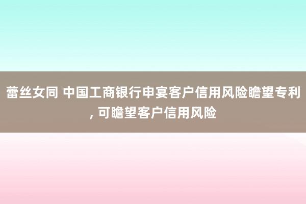 蕾丝女同 中国工商银行申宴客户信用风险瞻望专利， 可瞻望客户信用风险