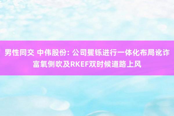 男性同交 中伟股份: 公司矍铄进行一体化布局讹诈富氧侧吹及RKEF双时候道路上风