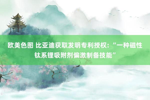欧美色图 比亚迪获取发明专利授权: “一种磁性钛系锂吸附剂偏激制备技能”