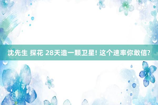 沈先生 探花 28天造一颗卫星! 这个速率你敢信?