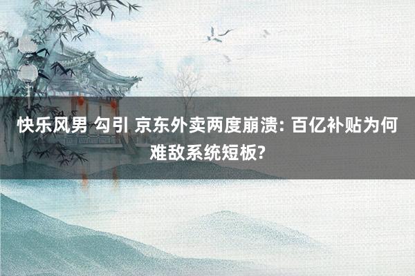 快乐风男 勾引 京东外卖两度崩溃: 百亿补贴为何难敌系统短板?