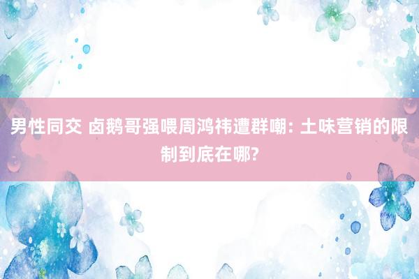 男性同交 卤鹅哥强喂周鸿祎遭群嘲: 土味营销的限制到底在哪?
