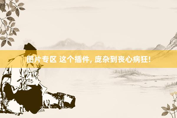 图片专区 这个插件， 庞杂到丧心病狂!