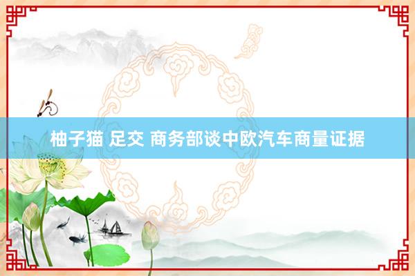 柚子猫 足交 商务部谈中欧汽车商量证据