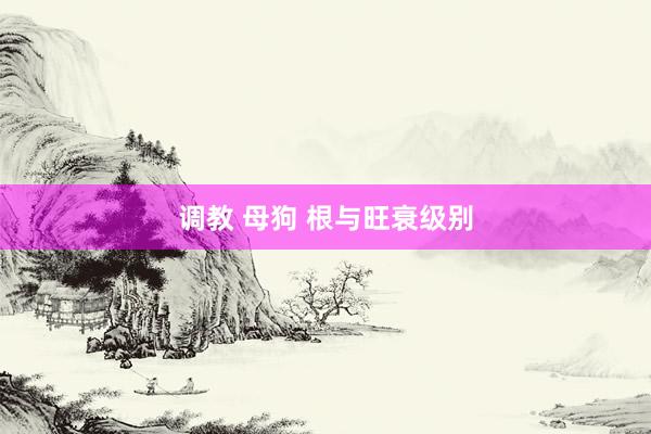 调教 母狗 根与旺衰级别