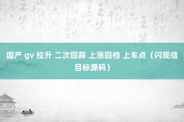 国产 gv 拉升 二次回踩 上涨回档 上车点（闪现信目标源码）