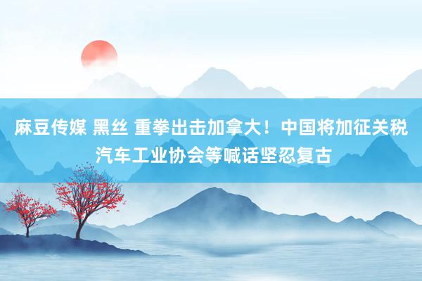 麻豆传媒 黑丝 重拳出击加拿大！中国将加征关税 汽车工业协会等喊话坚忍复古