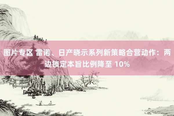 图片专区 雷诺、日产晓示系列新策略合营动作：两边锁定本旨比例降至 10%